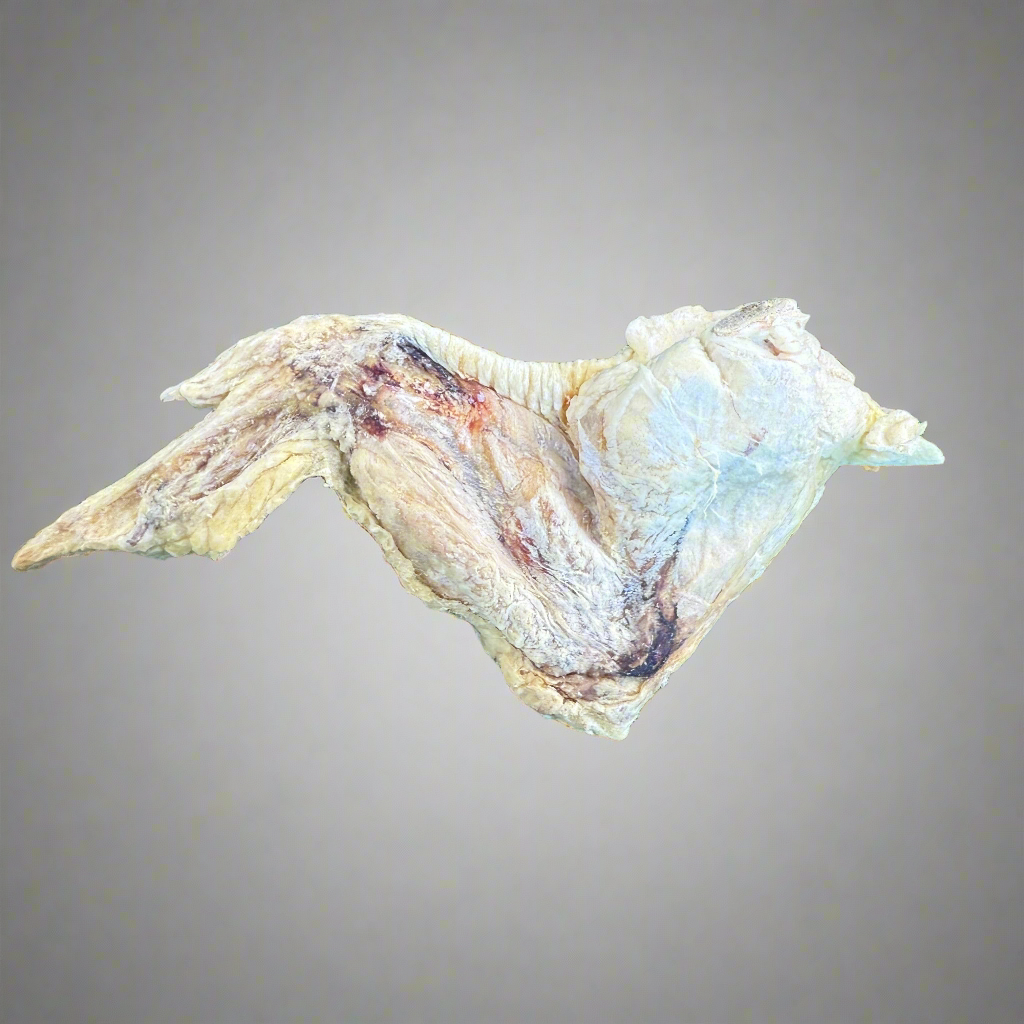 Chicken Wing - Freeze-Dried Treat/Chew for Dogs