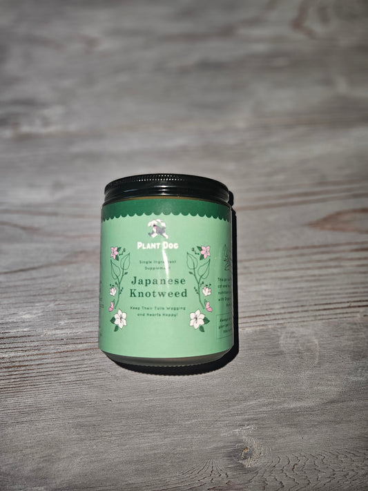 Japanese Knotweed Powder