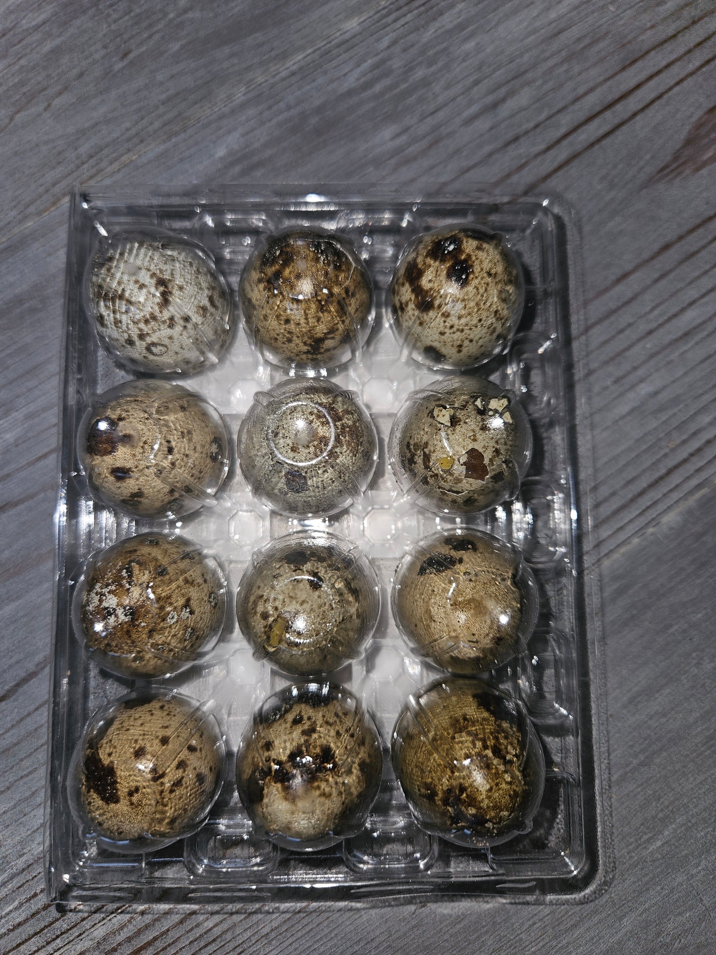 Quail Eggs - Dozen Freeze Dried